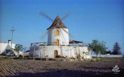 Antigua finca Los Díaz, con el Molino como referencia de la zona.