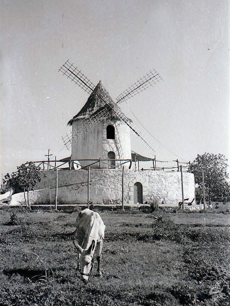 Molino en barrio de Los Molinos, en Almería. Conocido como "El Molino de los Díaz". Imagen a inicios de los años 60. Rodeado de bancales, con la figura de un mulo pastando.